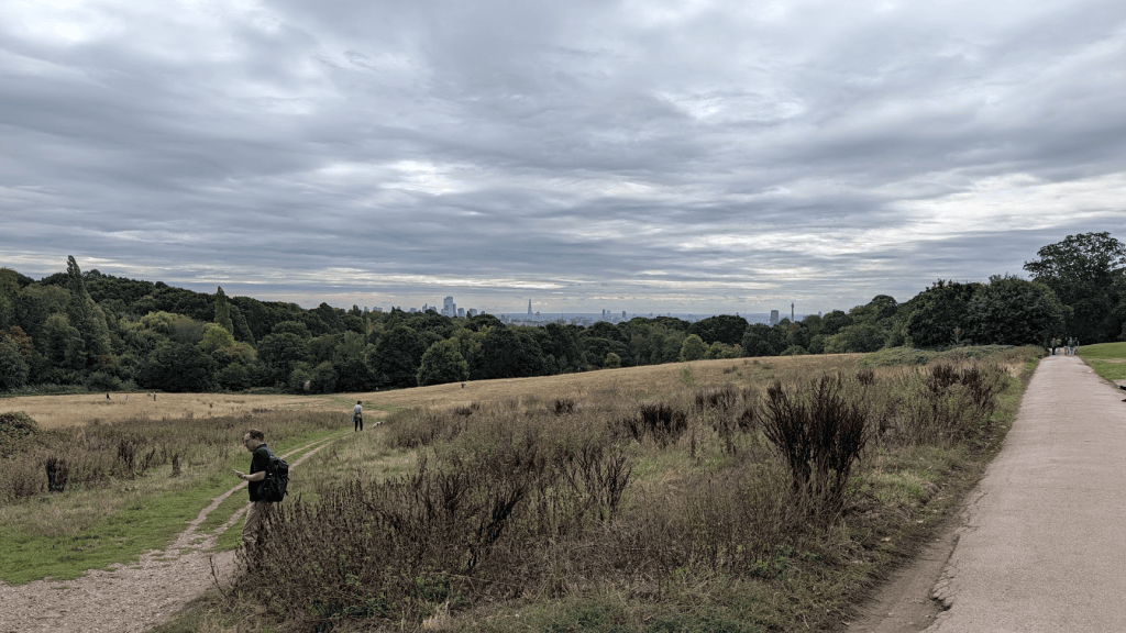 A scenic view of a grassy landscape with people walking on paths, surrounded by trees under a cloudy sky. The skyline of a city is visible in the background.